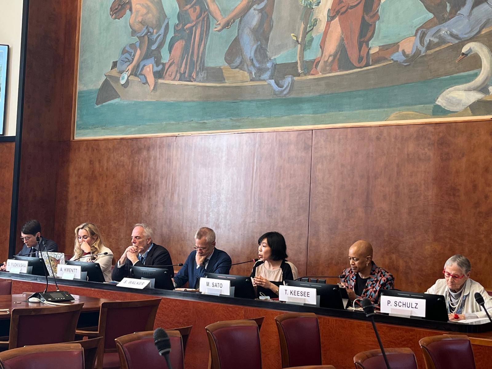 Mai Sato at UN panel